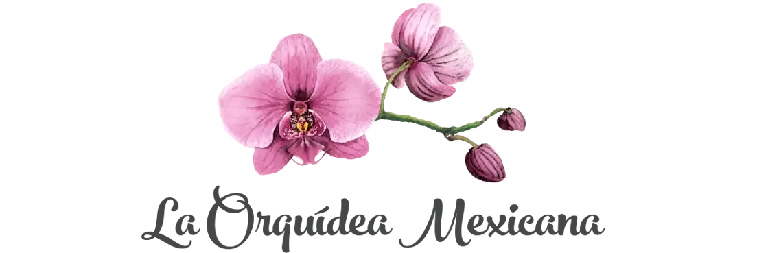 Florería | La Orquídea Mexicana