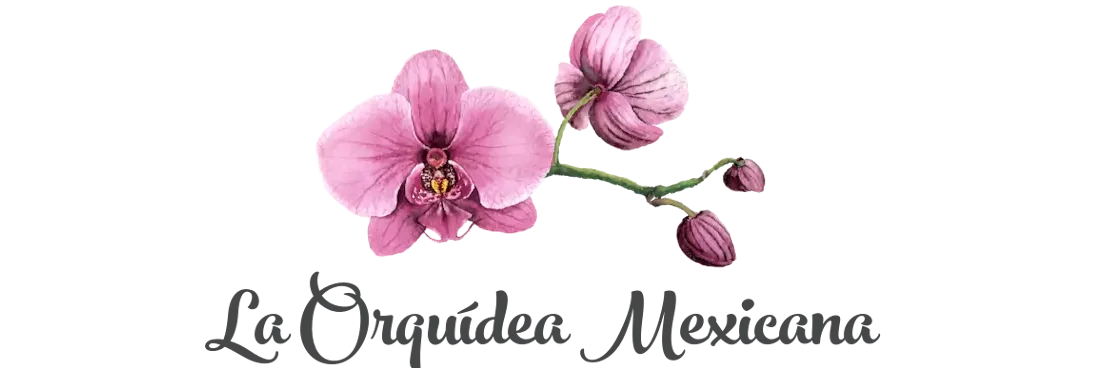 Florería | La Orquídea Mexicana